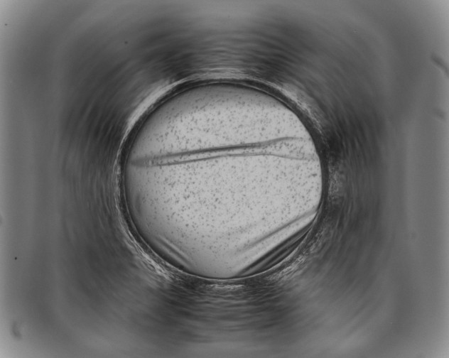 X0000097961325200804141018