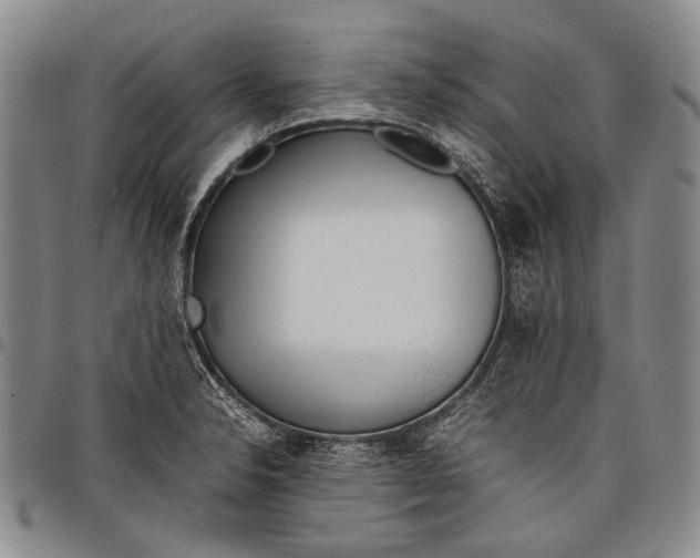 X0000097961326200804141018
