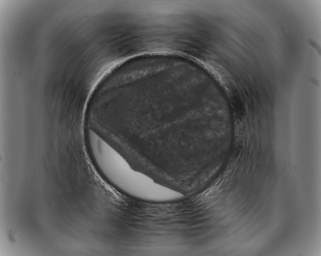 X0000097961327200804141018