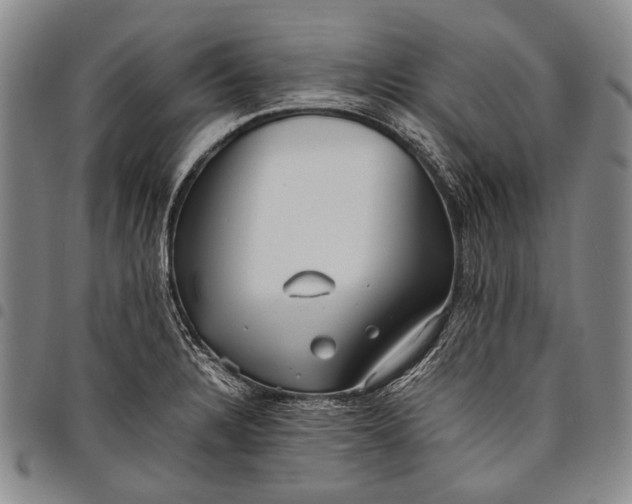 X0000097961328200804141018