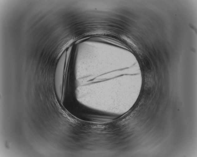 X0000097961329200804141018