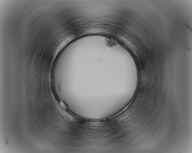 X0000097961330200804141018
