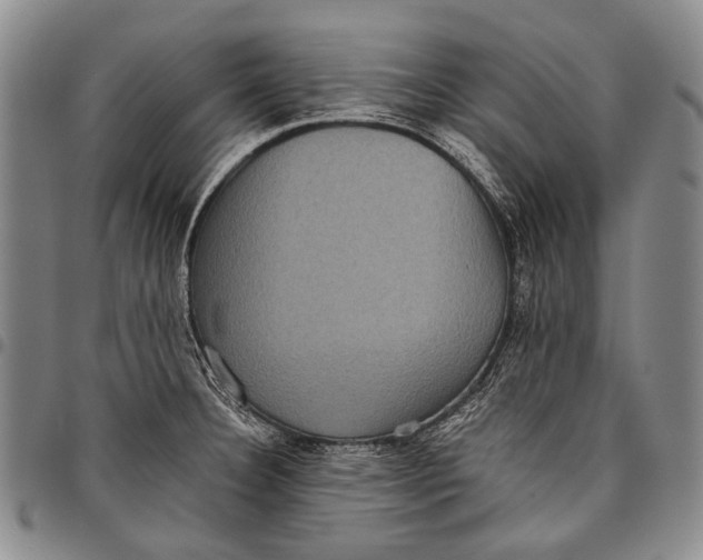 X0000097961332200804141018