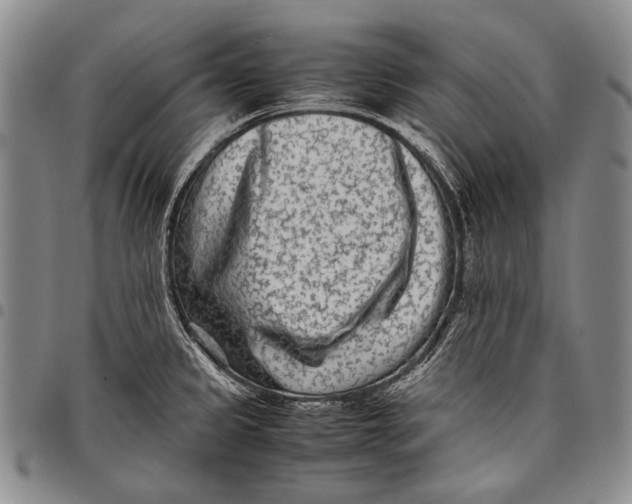 X0000097961333200804141018