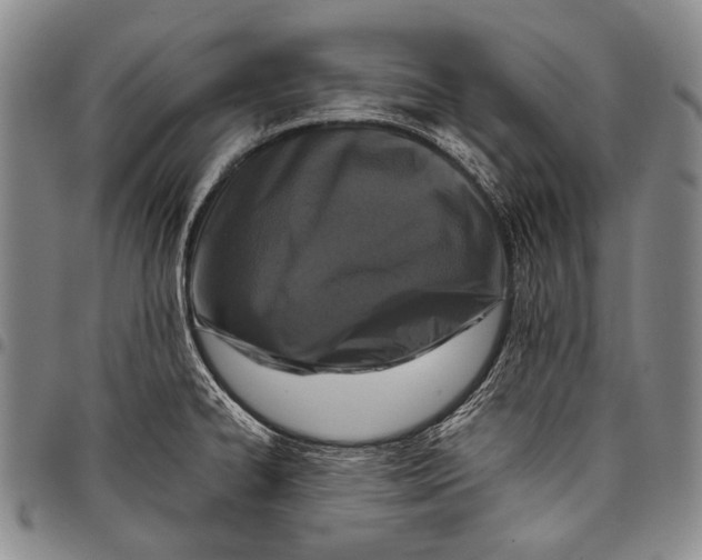 X0000097961334200804141018