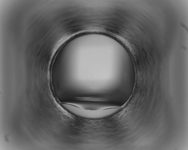 X0000097961335200804141018