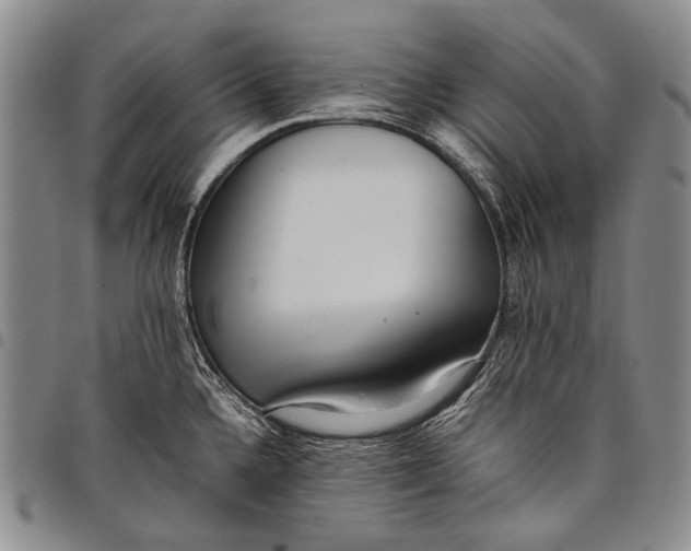 X0000097961336200804141018