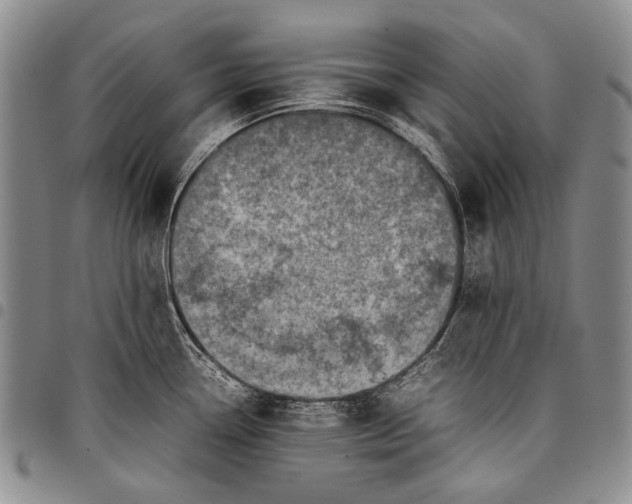 X0000097961338200804141018