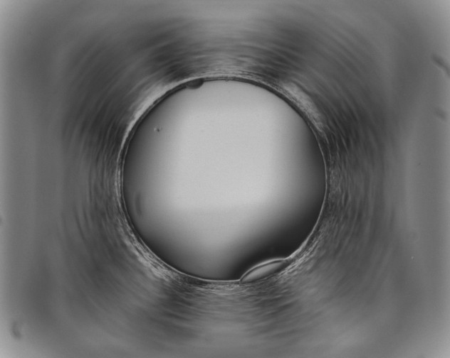 X0000097961340200804141019