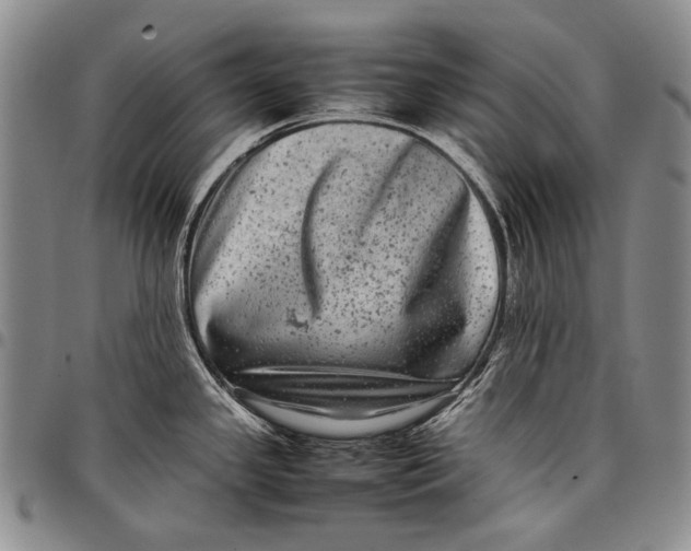 X0000097961341200804141019