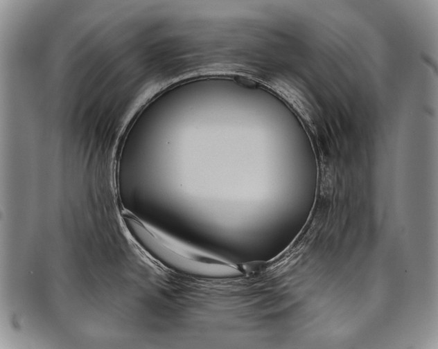 X0000097961342200804141019