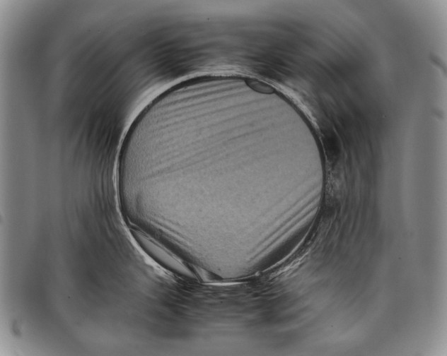 X0000097961343200804141019