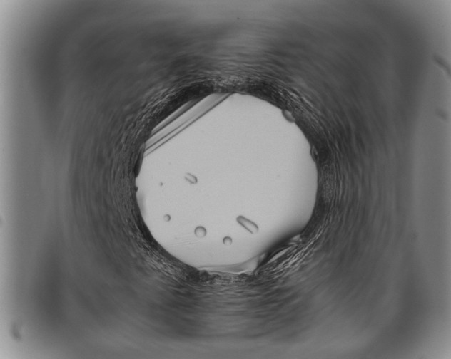 X0000097961345200804141018