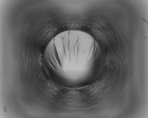 X0000097961346200804141018