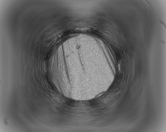 X0000097961347200804141018
