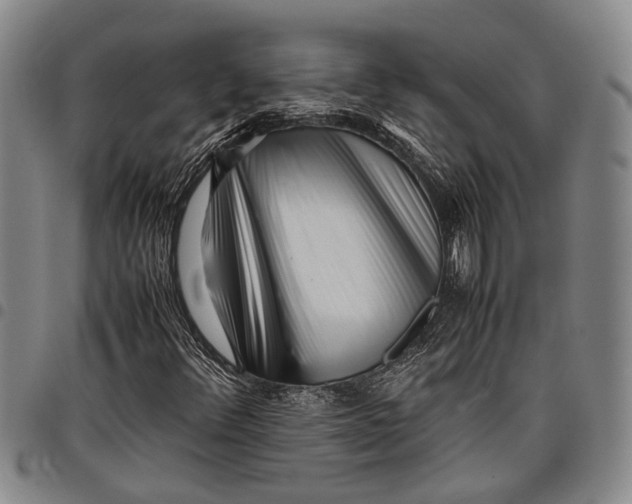X0000097961348200804141018