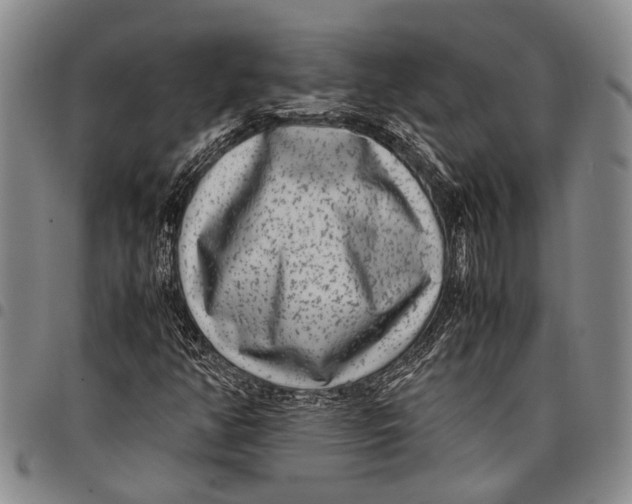 X0000097961350200804141018