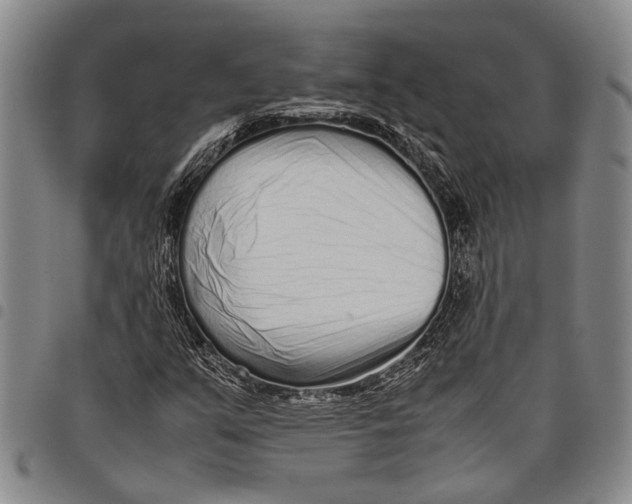 X0000097961351200804141018