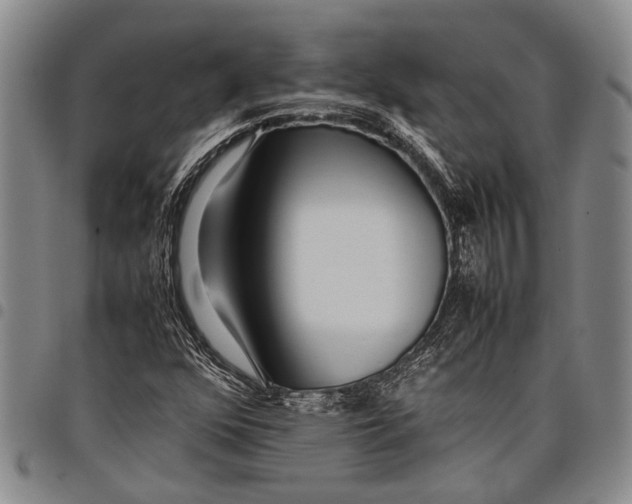 X0000097961352200804141018