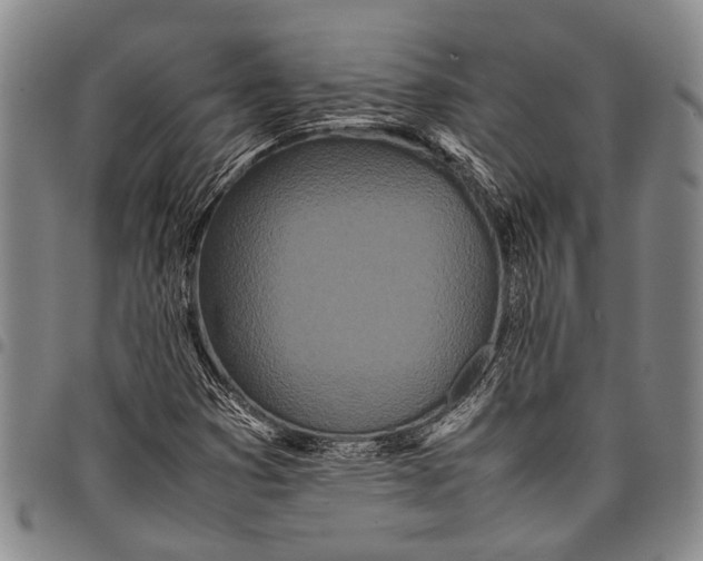 X0000097961353200804141018
