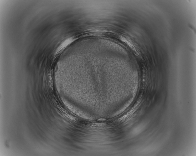 X0000097961354200804141018