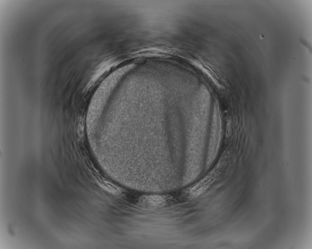 X0000097961355200804141018