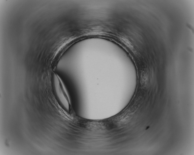 X0000097961356200804141018