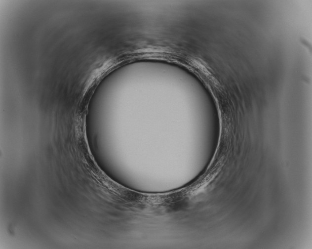 X0000097961357200804141018