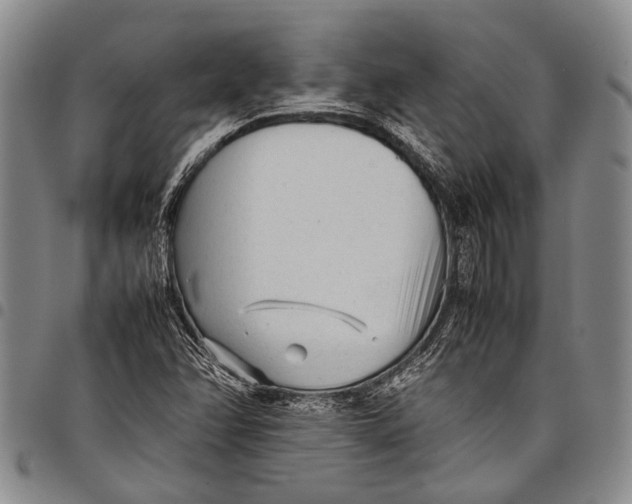 X0000097961358200804141018