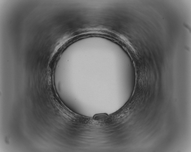 X0000097961360200804141018