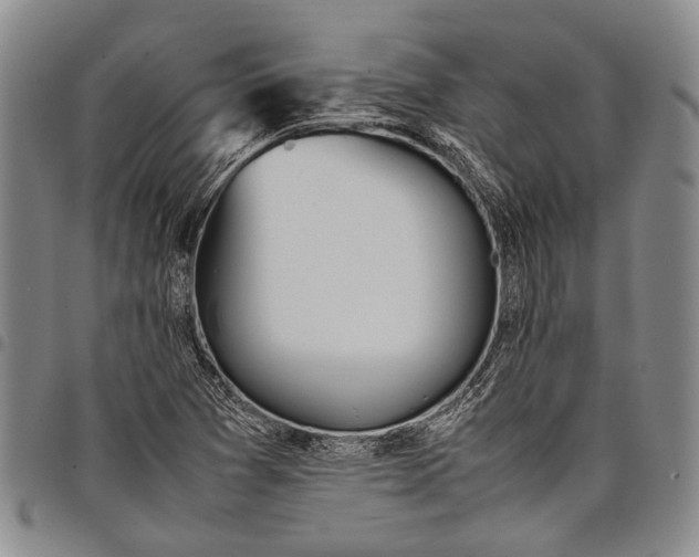 X0000097961361200804141018