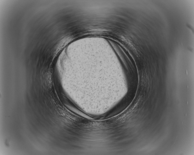 X0000097961362200804141018