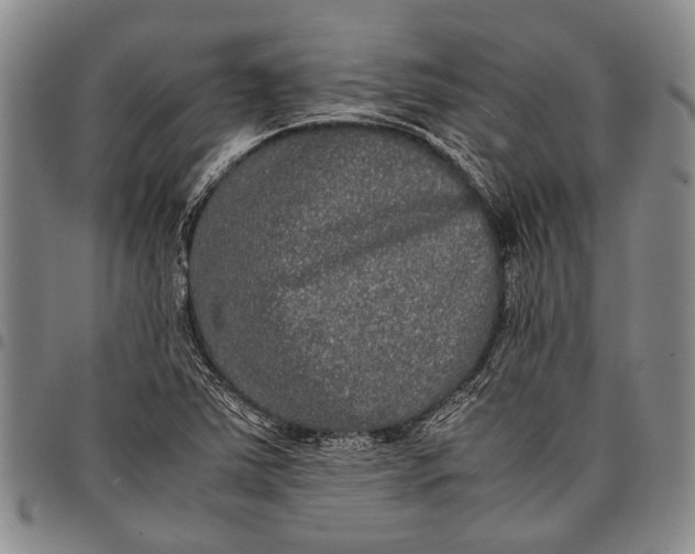 X0000097961363200804141018