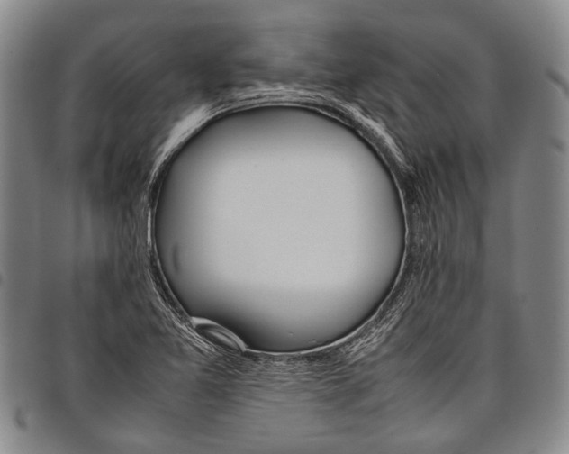 X0000097961365200804141018