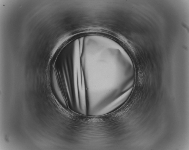 X0000097961368200804141018