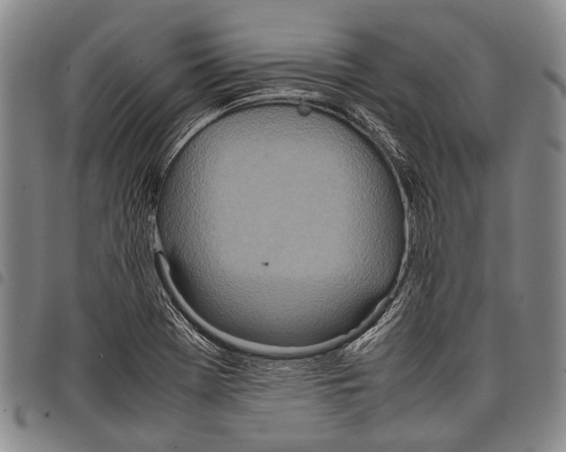 X0000097961369200804141018