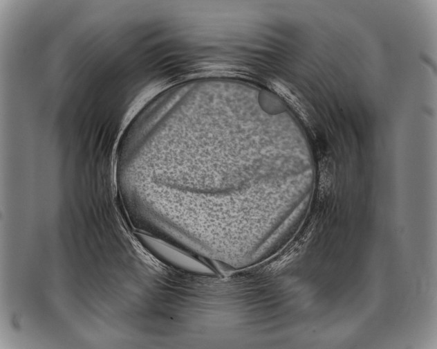 X0000097961370200804141018