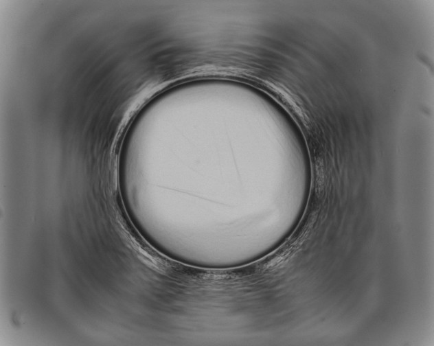 X0000097961371200804141018