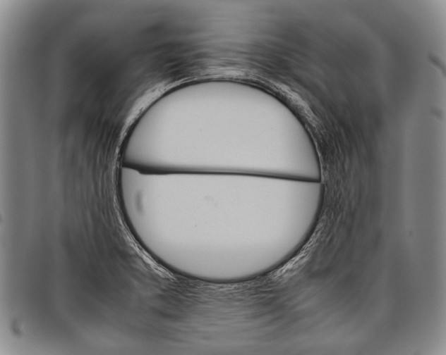 X0000097961373200804141018