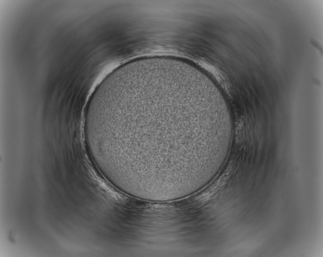 X0000097961374200804141017