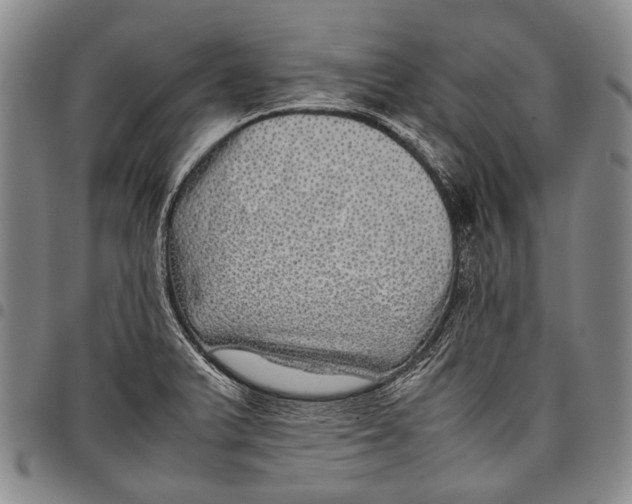 X0000097961375200804141017