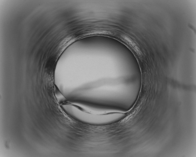 X0000097961377200804141017