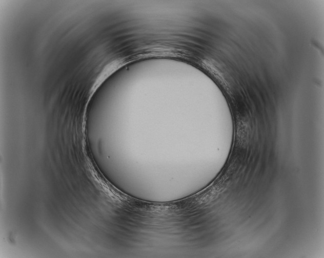 X0000097961378200804141017