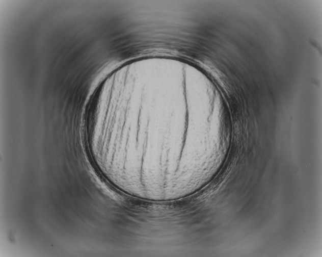 X0000097961379200804141017