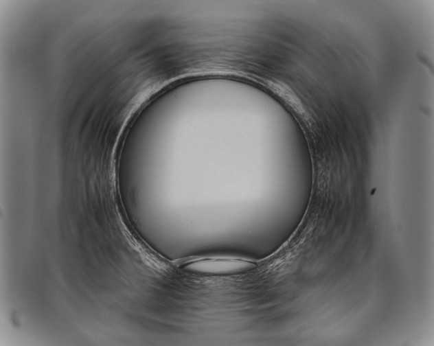 X0000097961380200804141017