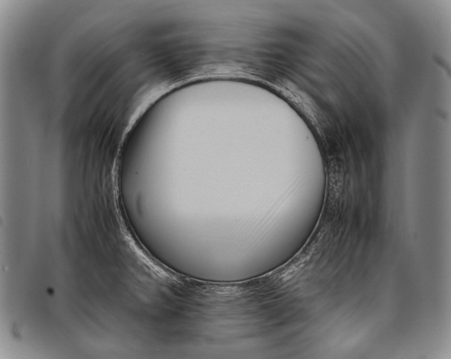 X0000097961382200804141017