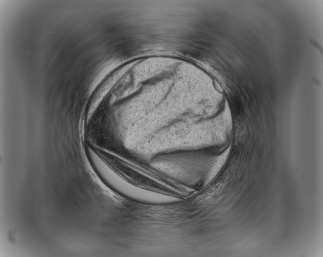 X0000097961383200804141017