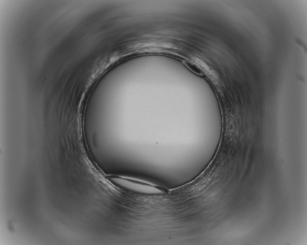 X0000097961384200804141017