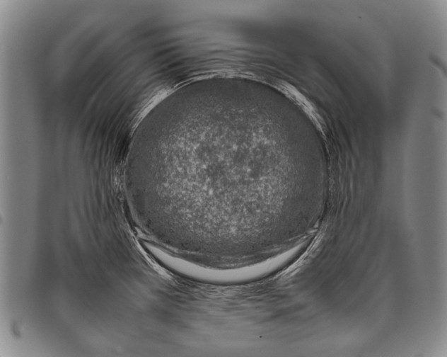 X0000097961385200804141017