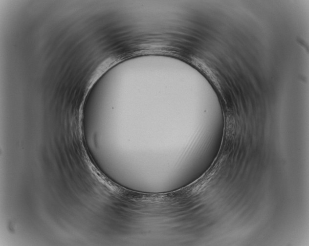 X0000097961386200804141017